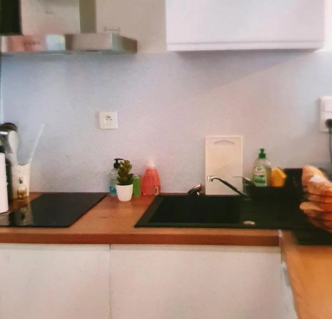 Le Petitou Apartment Pamiers